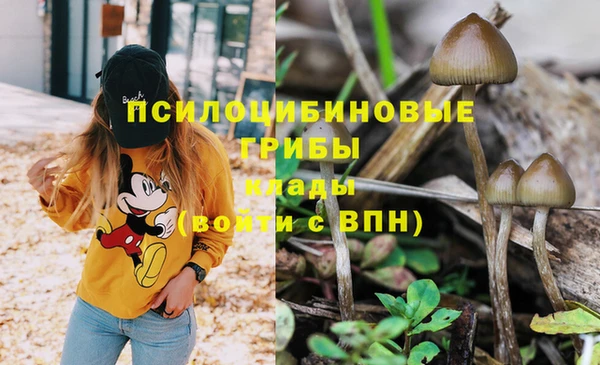 таблы Михайловск