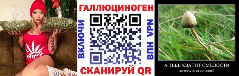 МЕГА ссылка  где можно купить наркотик  Мурино  Галлюциногенные грибы Psilocybe 