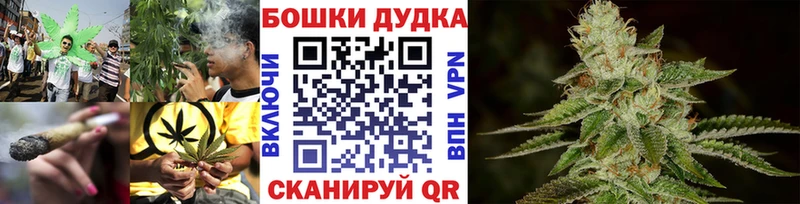 где найти   Мурино  Конопля тримм 